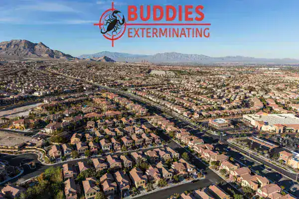 Residential Pest Control